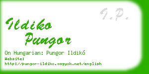 ildiko pungor business card